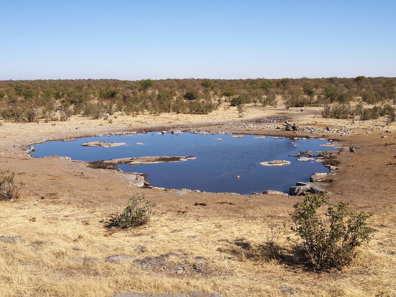 Etosha National Park